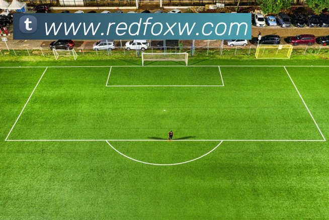 体育数据展示